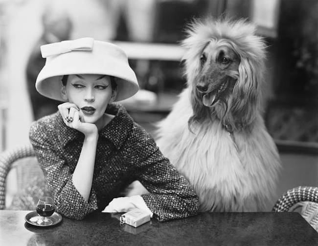 V&A fashion woman with dog