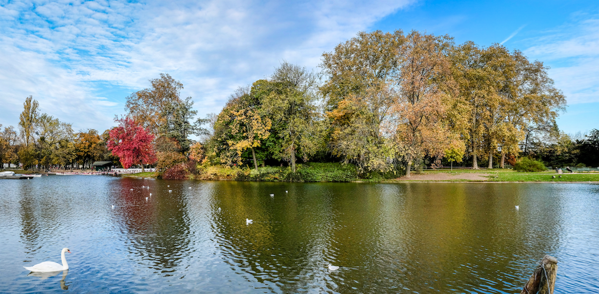 Courir dans le bois de Vincennes