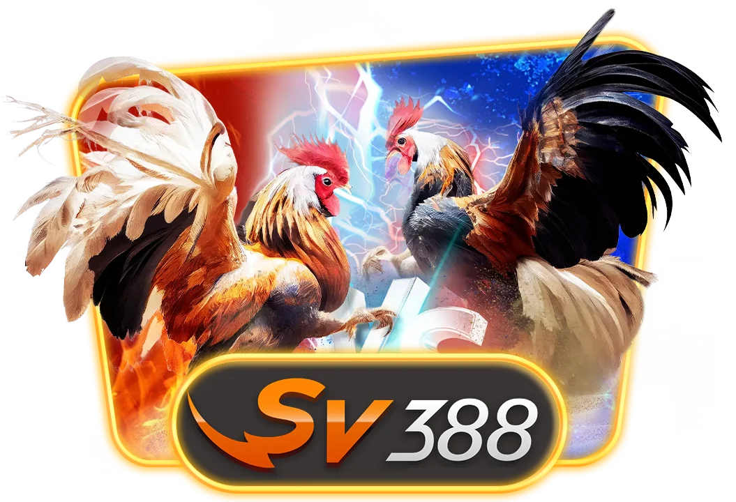 z6com(尊龙)人生就是搏股份有限公司-官生活方式相关图片