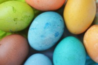 easter-eggs-3343-830x550.jpg