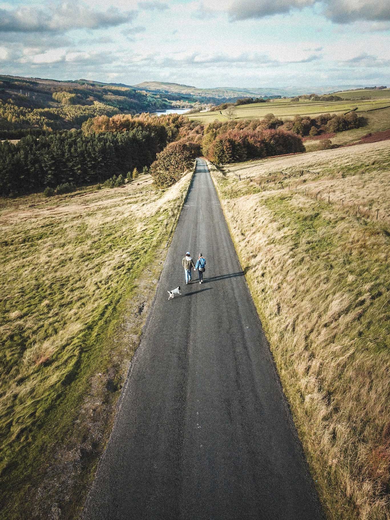 What is a fixed term annuity and should I get one? | unbiased.co.uk