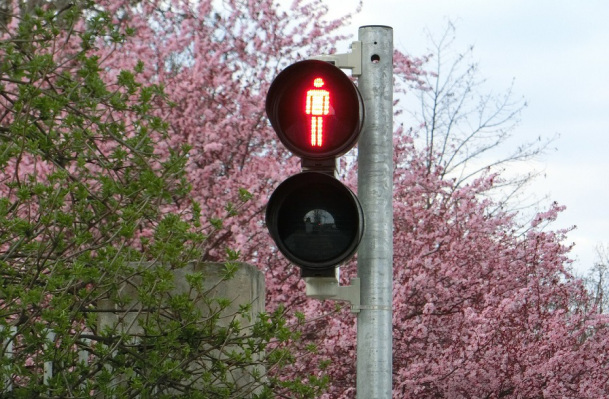 Reasons to turn down free money