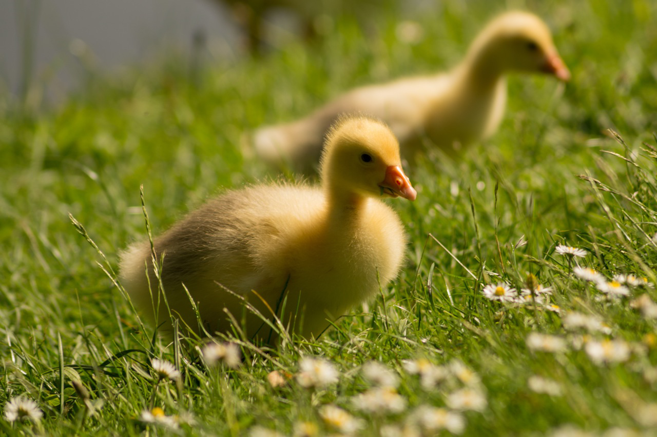 Spring-clean your money this Bank Holiday