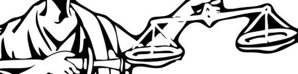 Legal choices: Represent yourself or hire an expert?