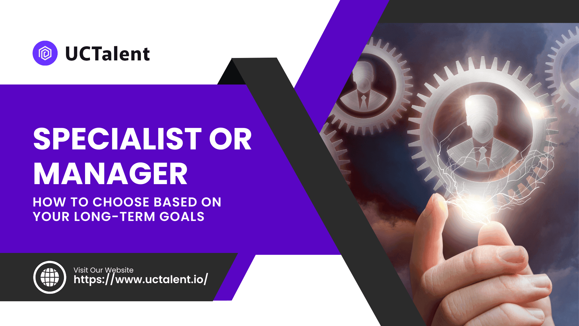 Specialist or Manager: How to Choose Based on Your Long-Term Goals