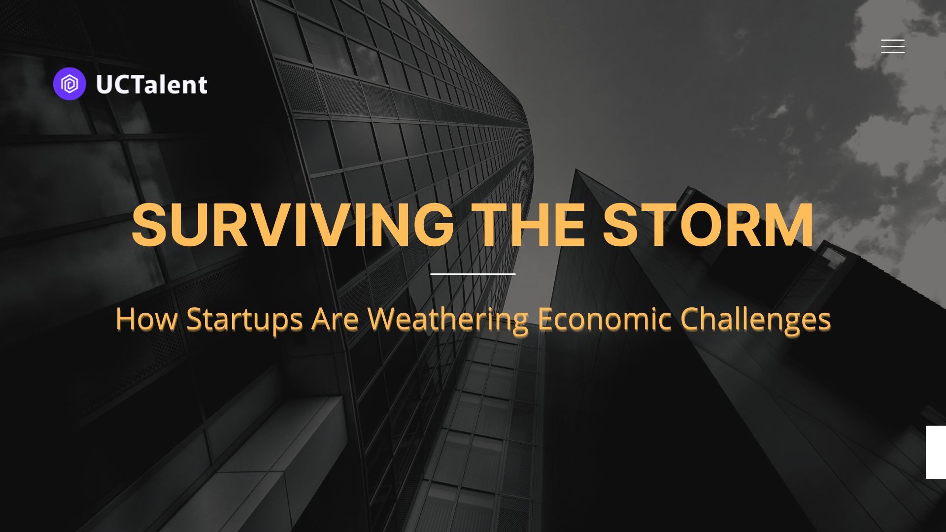 Surviving the Storm: How Startups Are Weathering Economic Challenges