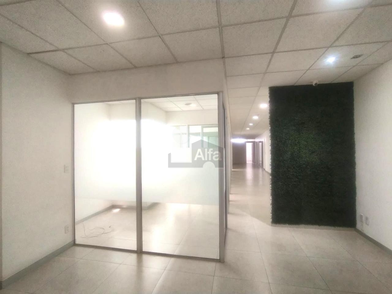 Oficina comercial en renta en Granada, Miguel Hidalgo, Ciudad de México