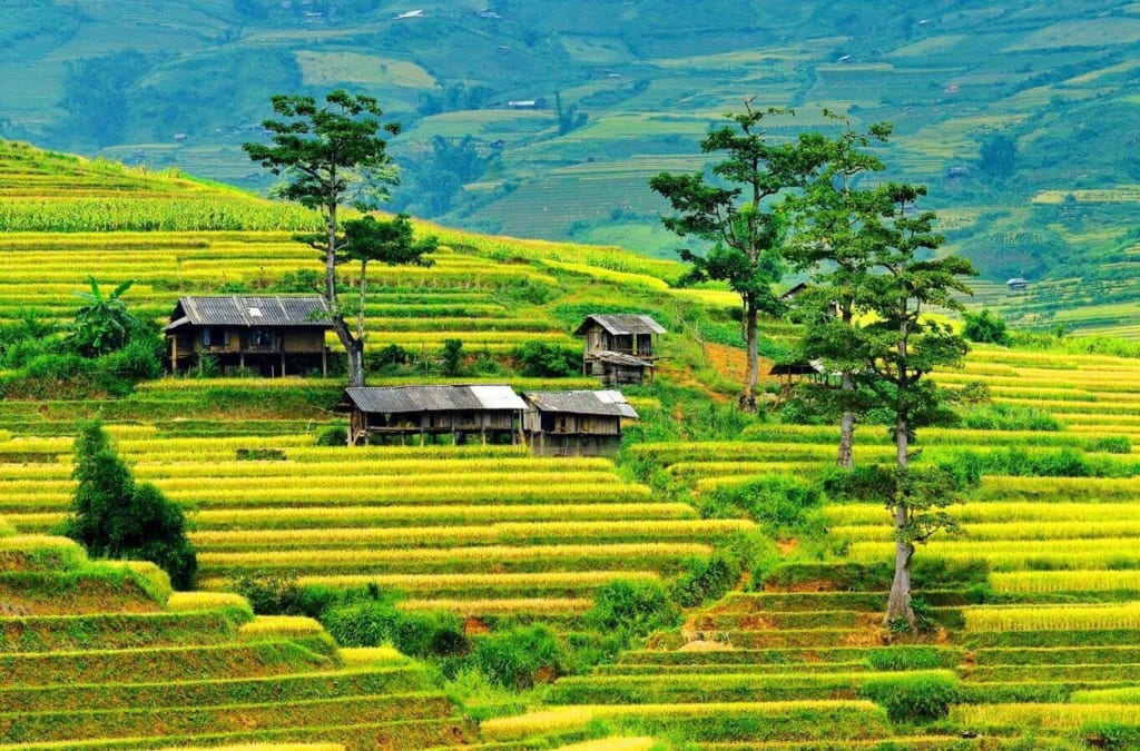 mu cang chai dulichsapalaocai.com .vn 1024x675 1 Đặc sản của đà nẵng là gì