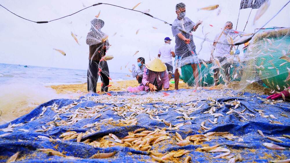 cho ca da nang chợ cá đà nẵng