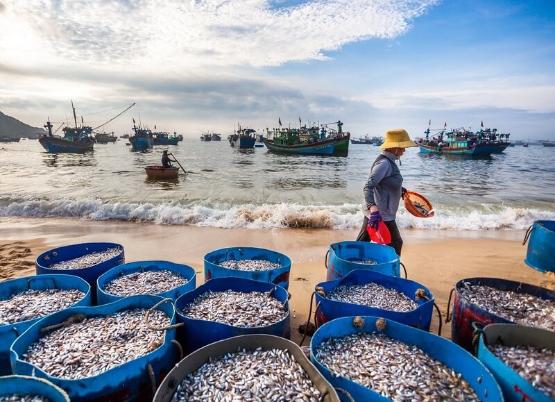 lang chai da nang 2 làng chài Đà Nẵng