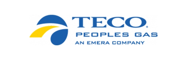 Logo that reads TECO