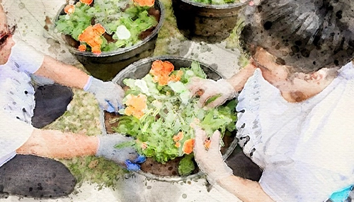 Image of people recounting fruits