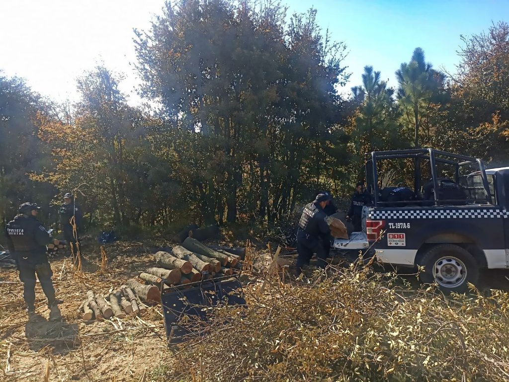 Decomisan madera ilegal en La Malinche