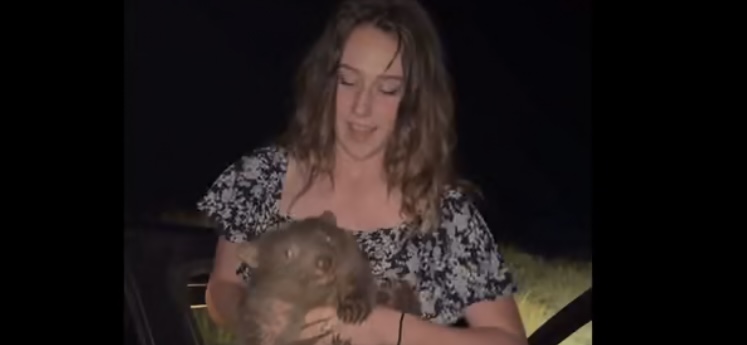 this is an alt image