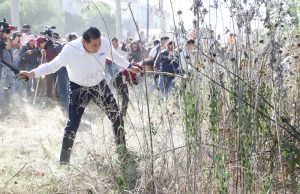 this is an alt image