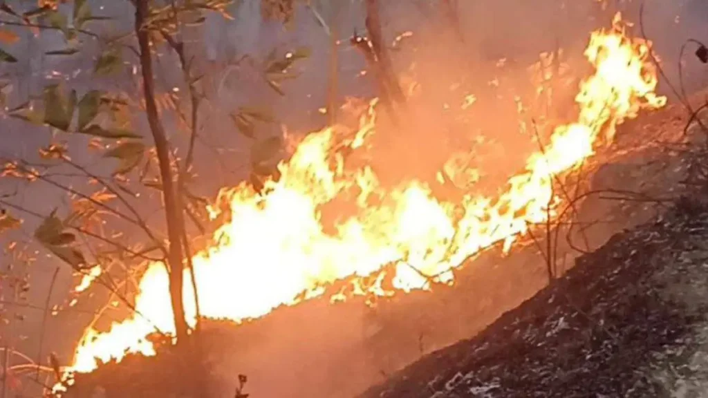 Gobierno de Puebla licita 10 unidades para combate de incendios