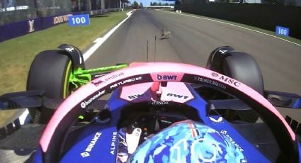 Pierre Gasly atropella a un conejo durante práctica del GP de Emilia Romagna