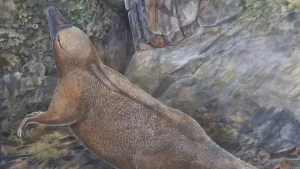 this is an alt image