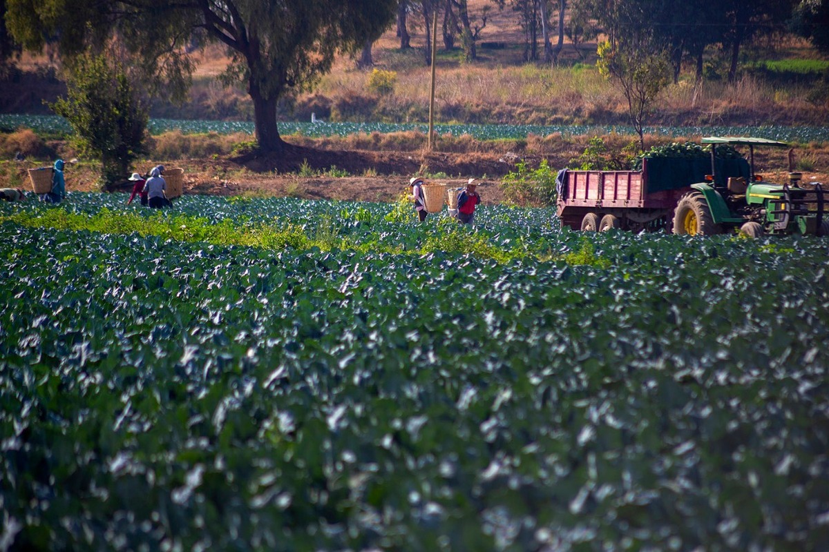 Descarta Sader cobro de piso a productores del campo en Puebla.