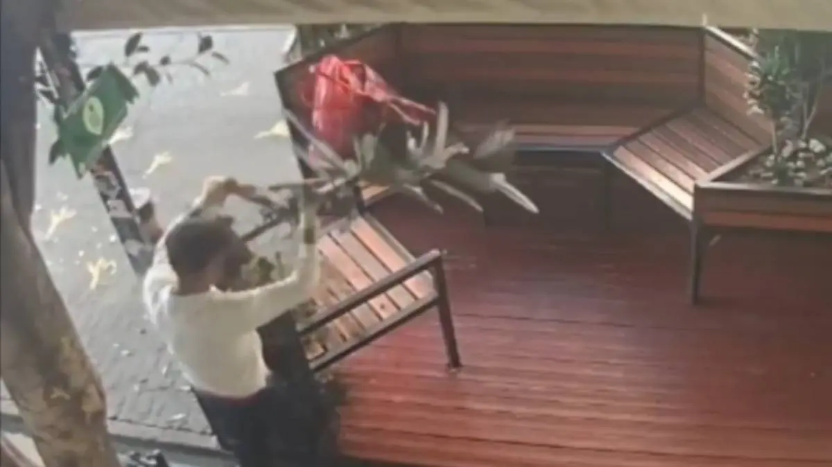 “Lord Plantas” roba macetas en el Centro Histórico de Puebla