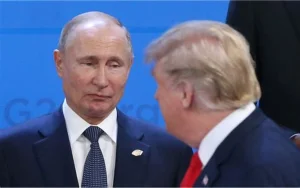 this is an alt image