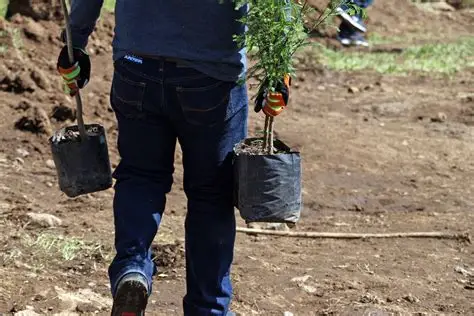 Ayuntamiento de Puebla atiende más de 500 árboles en riesgo y avanza reforestación con 30 mil ejemplares