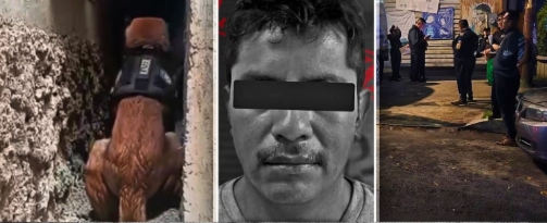 Detienen en Veracruz al presunto feminicida de Alma Elena Sánchez