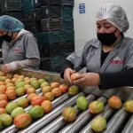 this is an alt image