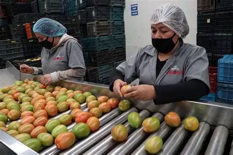 this is an alt image