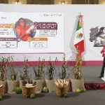 this is an alt image