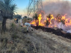 this is an alt image