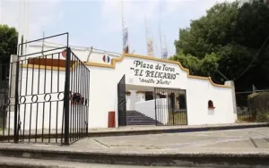 this is an alt image