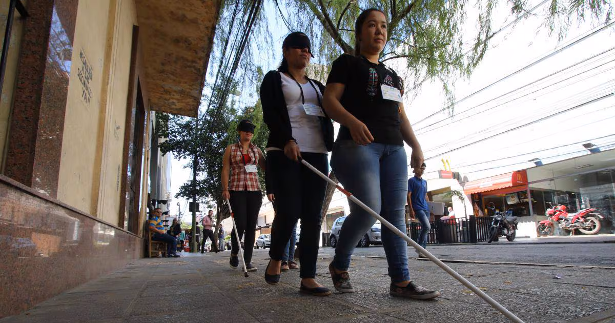 Desde el Congreso, impulsan un sistema de transporte para personas con discapacidad