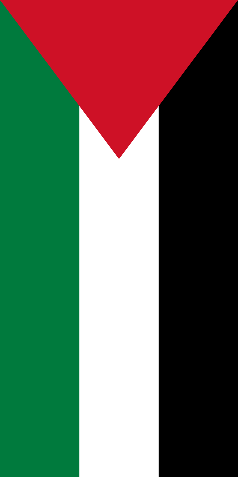 Palestine DAO  (daopalestine.eth) Profile Photo