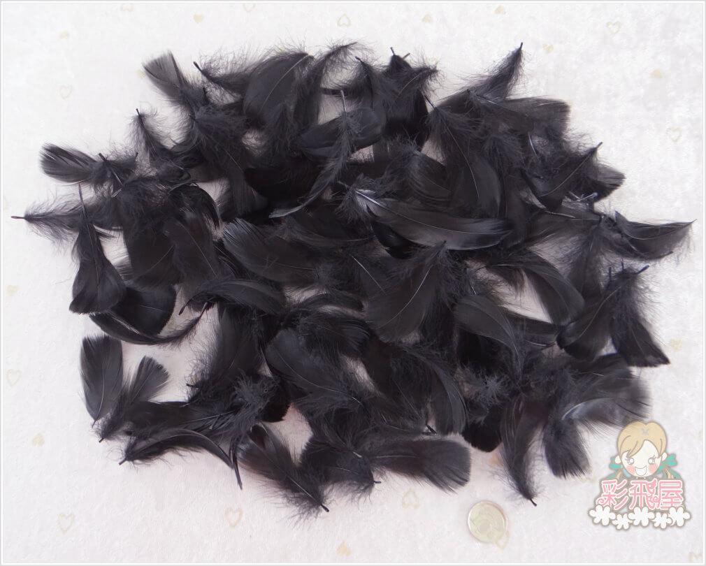 DIY 羽毛 [黑 色]55166-080.JPG