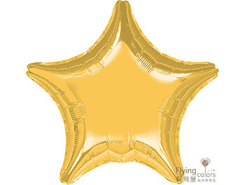 16117-gold-star素色鋁箔氣球.jpg