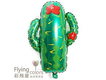 (770) CE56723  仙人掌造型(67*62)(鋁箔氣球) .jpg