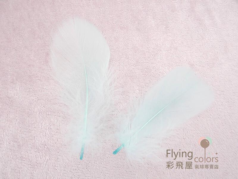 (原圖)55166 DIY 羽毛 [淺綠色] 03.JPG