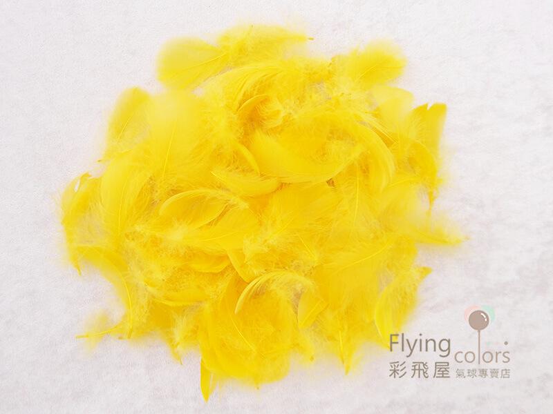 (原圖)55166-022 DIY 羽毛 [金黃色]－１.JPG