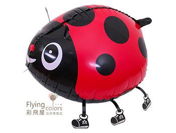 (770) CE90133 瓢蟲 寵物走路,散步氣球,拖地氣球,可愛動物鋁箔氣球.jpg