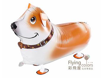 (770)CE90123 寵物散步氣球-柯基犬(60*32cm).jpg