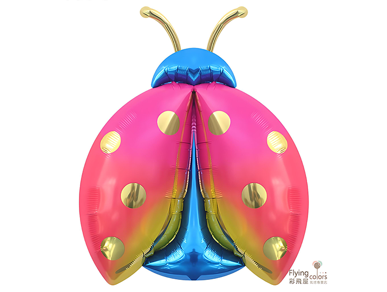 (770)CE08771 ஐ七星瓢蟲 .PNG