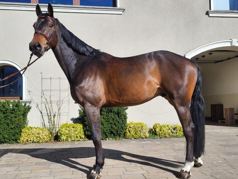 Peter Pan HB profile photo