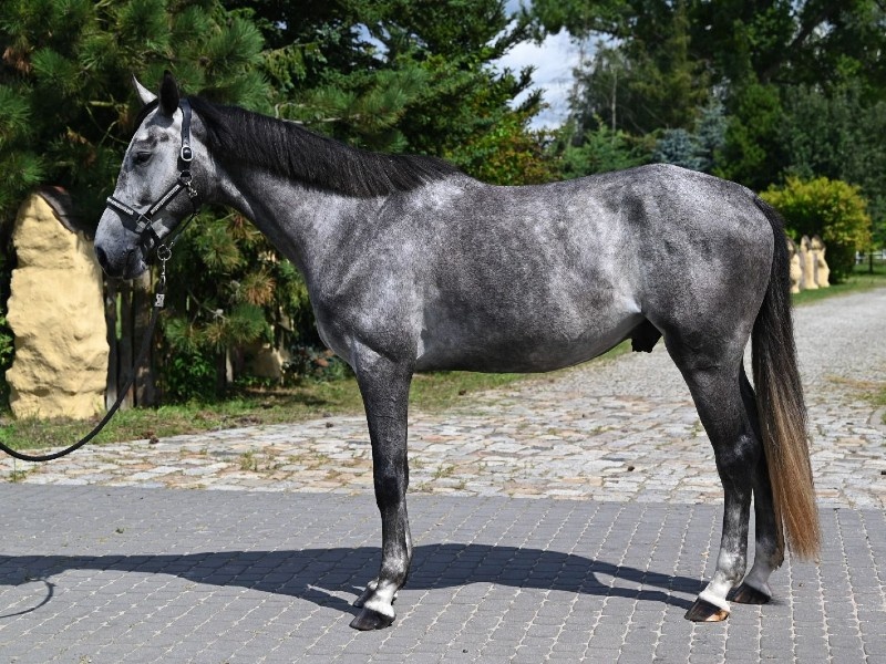 Erdon GR profile photo 