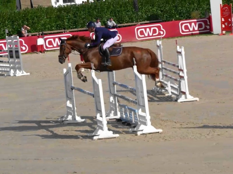 Happy D'antilly profile photo