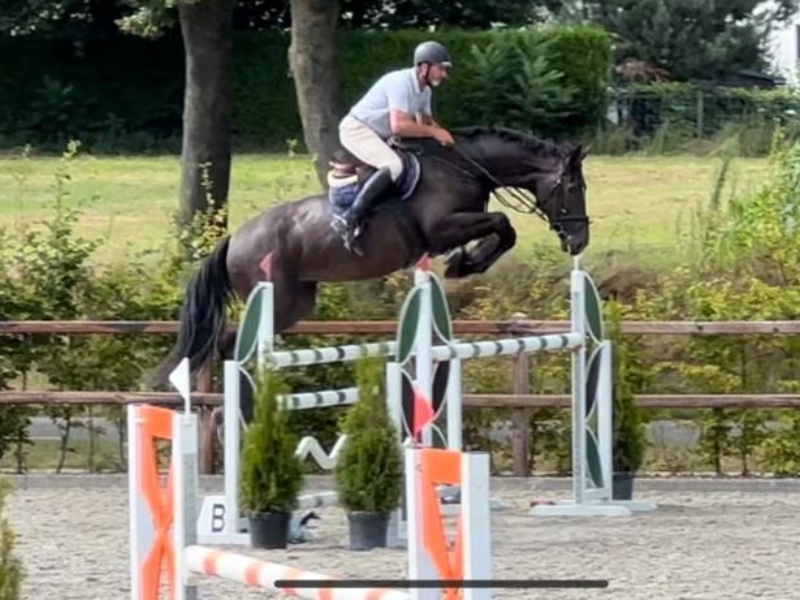 Roxet VDE profile photo