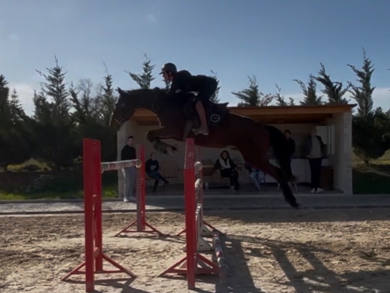 Izilou de kerser profile photo 