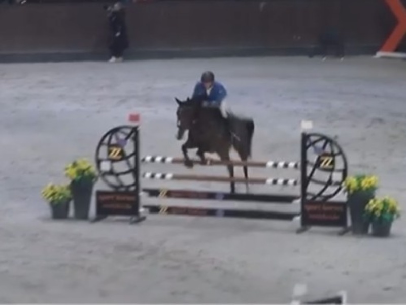 Asunta Irw profile photo