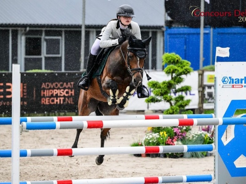 Ocarina Van De Bekerheide profile photo