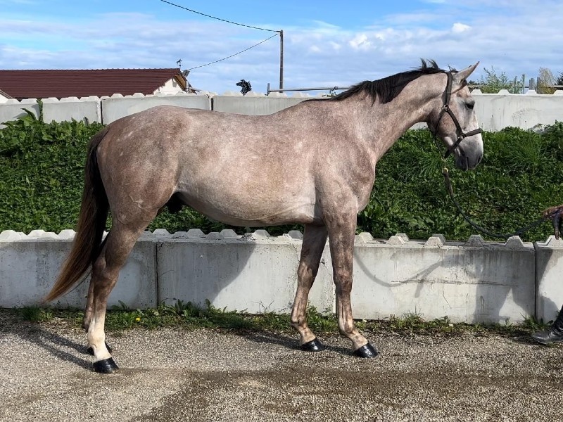 Lupin De Willems profile photo 